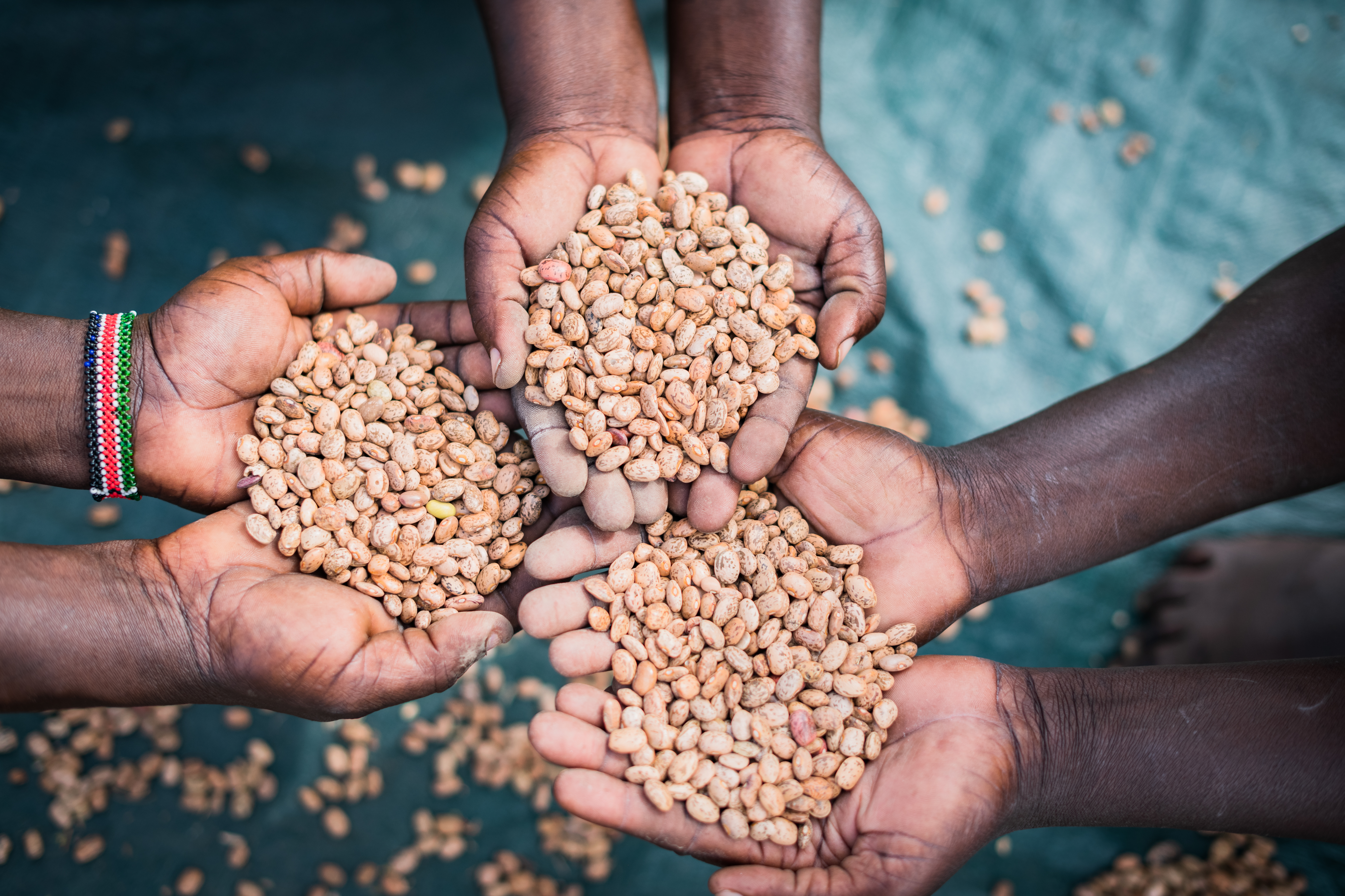 Grain in hands