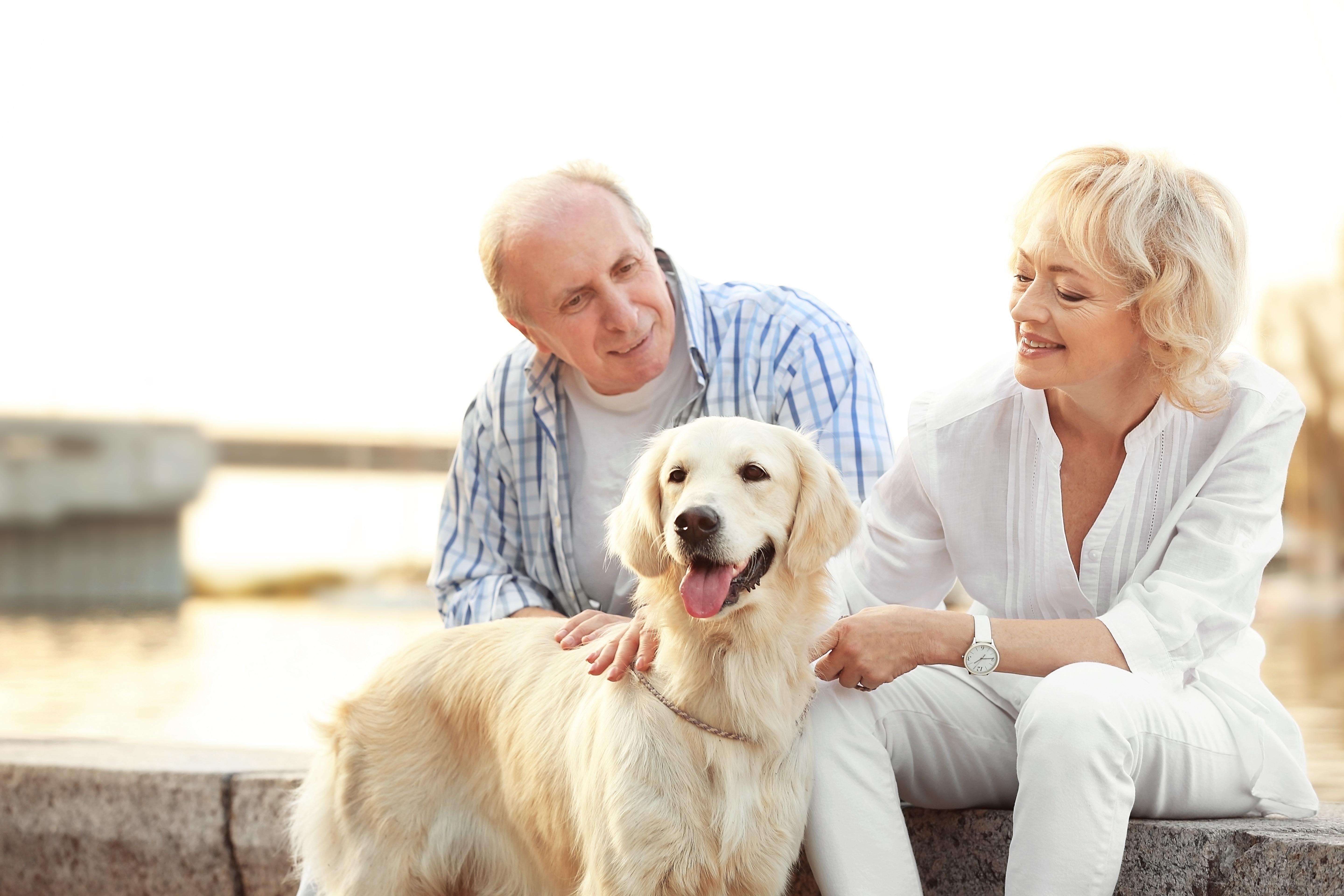 /s3media/public/styles/crop_freeform/public/2020-05/petcare_gsa_partner_-_hero_image_option_2.jpg?VersionId=yB6HrEInCIUDUoRyCW3s38MABqSBvoS1&amp;itok=Tm6VBGWv