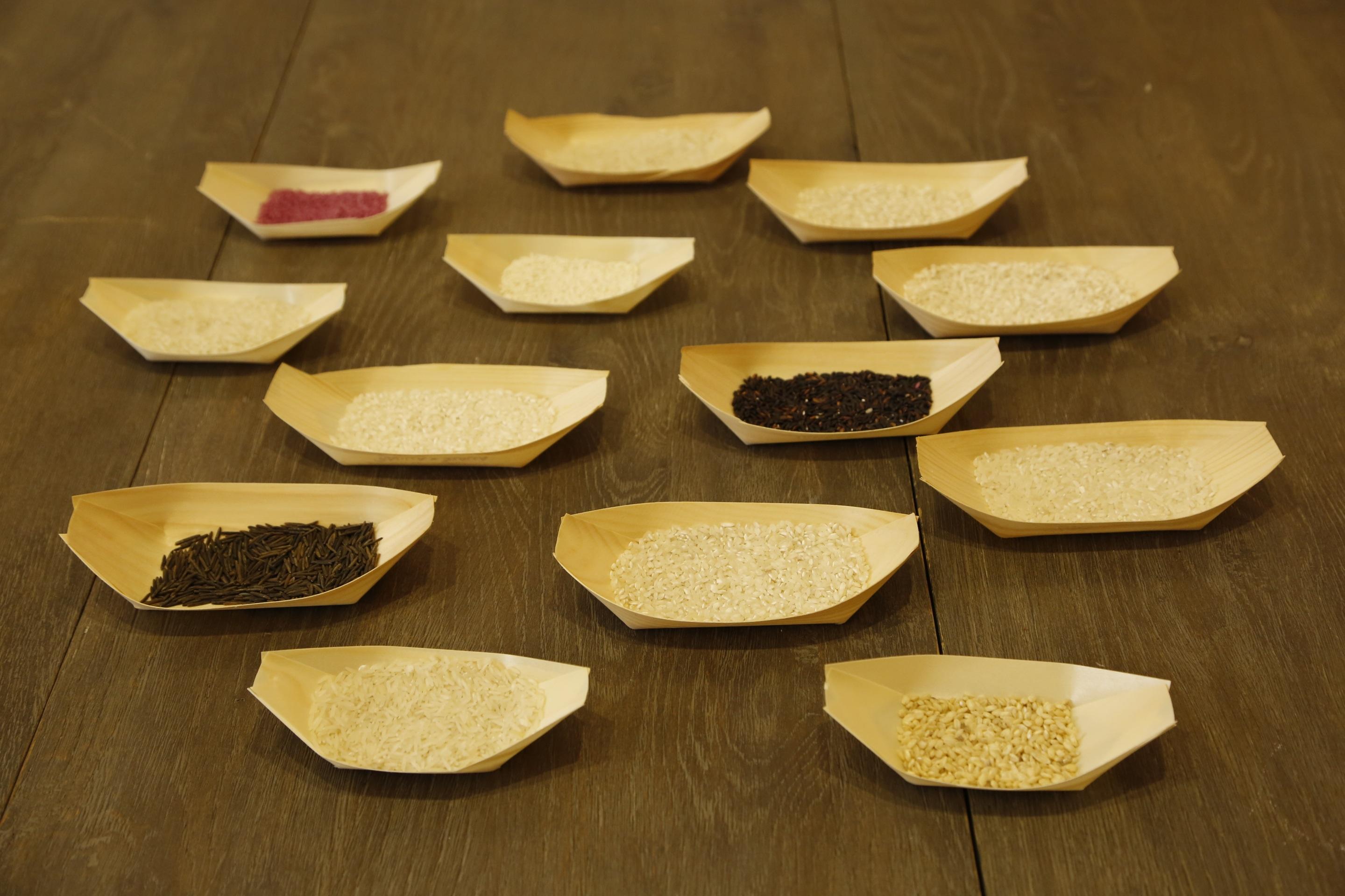 Varieties of Rice