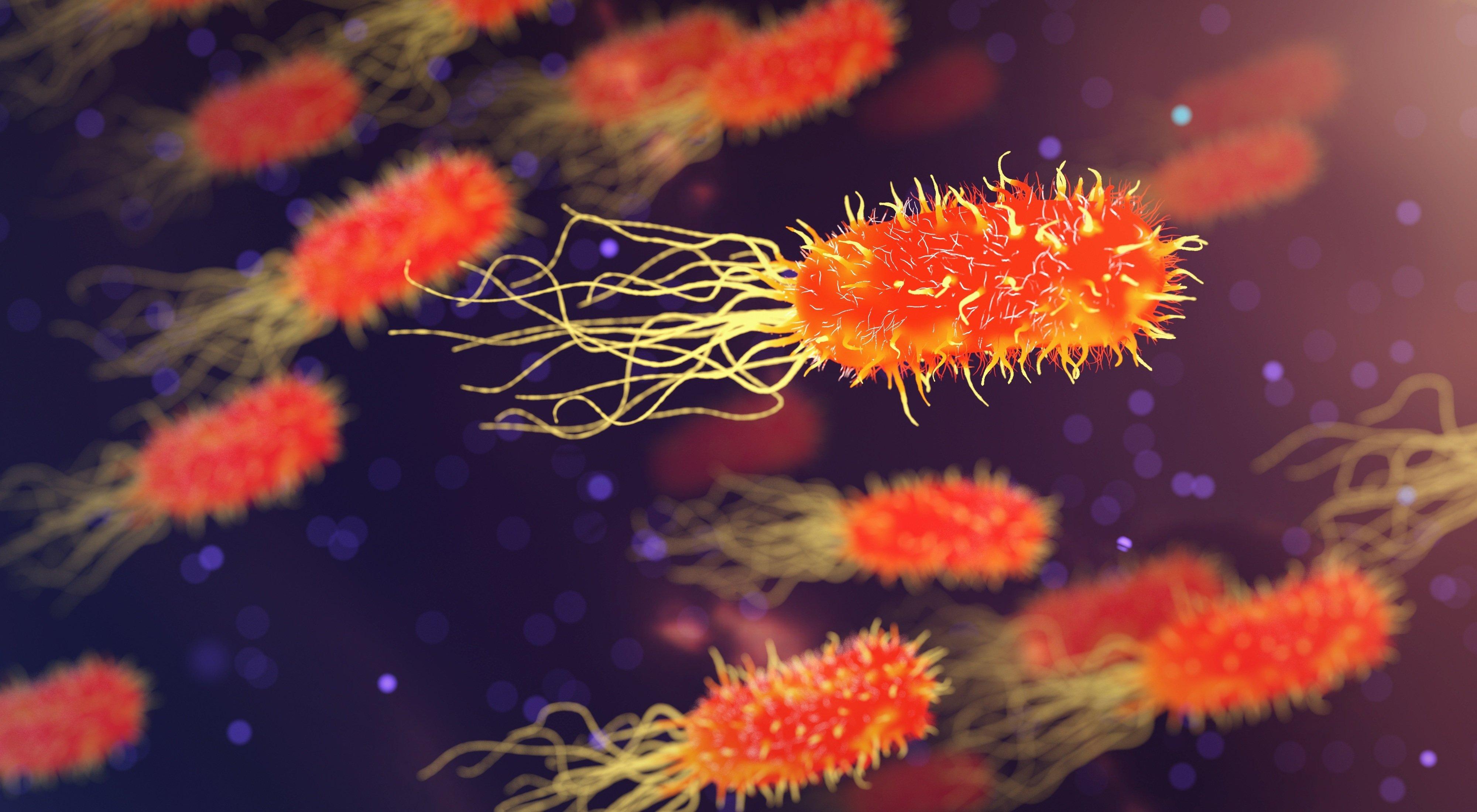 /s3media/public/styles/crop_freeform/public/2022-09/bacteria-3658992.jpg?VersionId=_Jvz4R14I3uYtKAA25d8Q05BGG3jImfi&amp;itok=1dsYwFKi