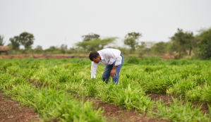 Farmer